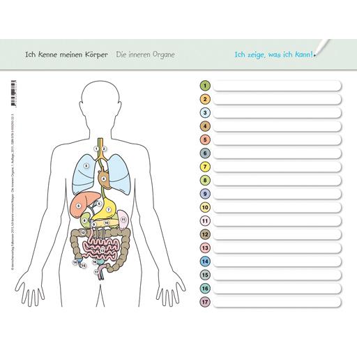 Thumbnail - Ich kenne meinen Körper - Die inneren Organe, Schulbücher von Katrin Langhans