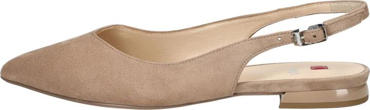 Produktbild Hogl 0-100112 (36)