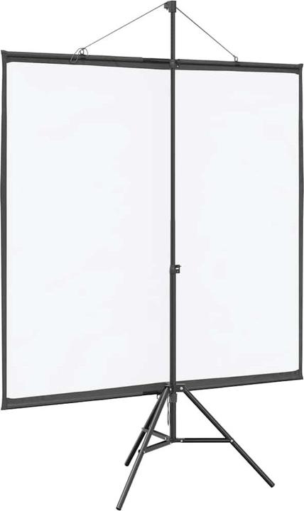 Actual product image vidaXL Projektionsleinwand (72", 1:1)