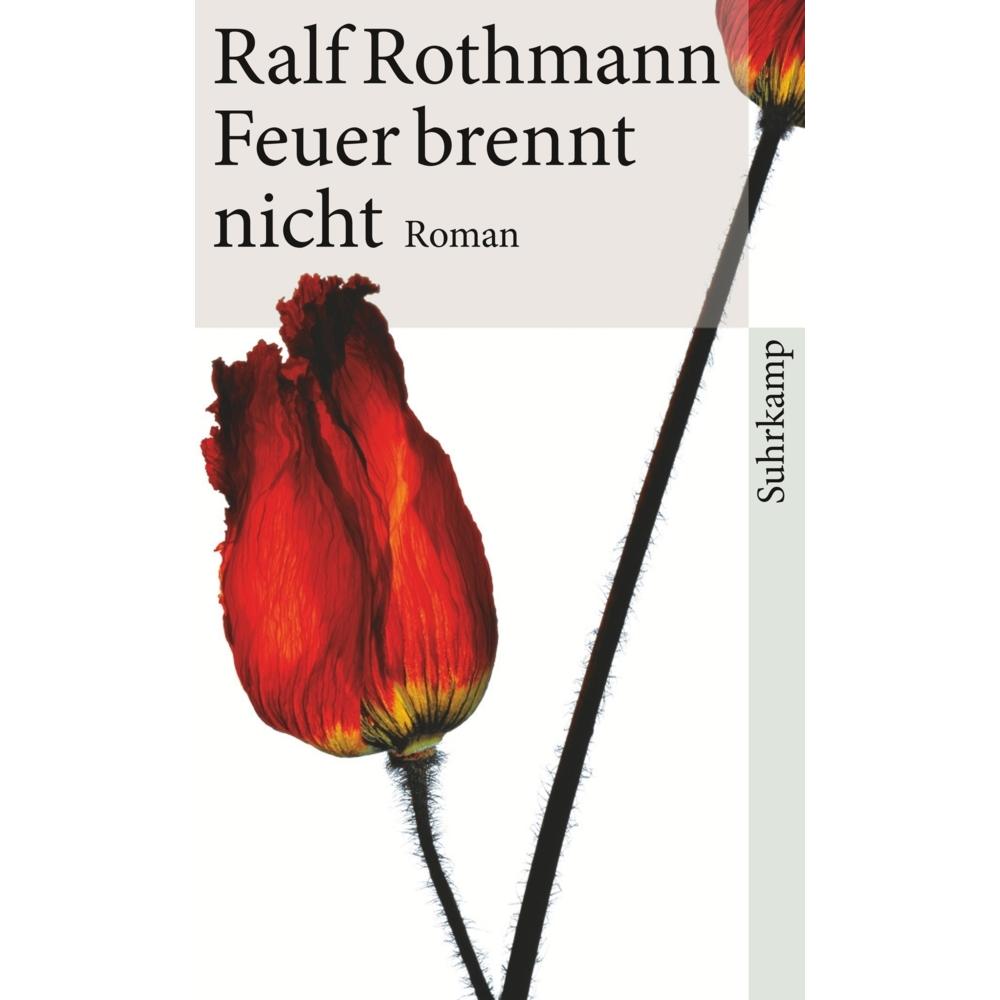 Feuer brennt nicht, Belletristik von Ralf Rothmann
