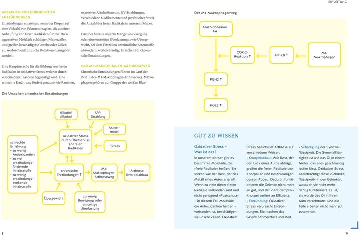 Actual product image Arthrose endlich heilen (German, Wolfgang Féile, Tobias Homburg, 2024)