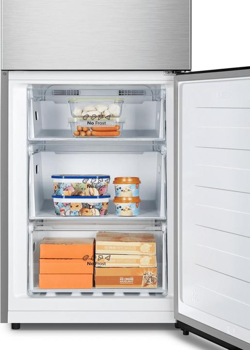 Image du produit Hisense RB390N4C (304 l)