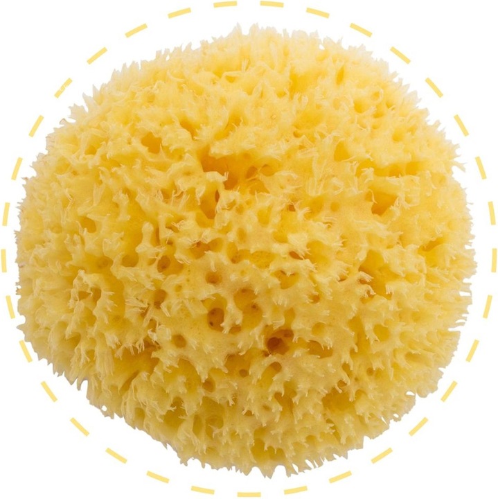 Immagine prodotto Bellini Spugna di mare piccola