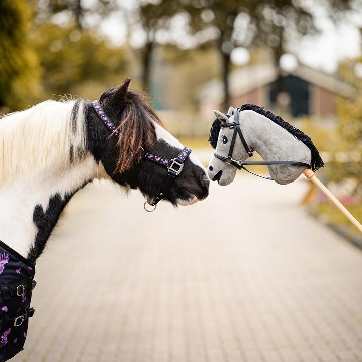 Image du produit Qhp Lize