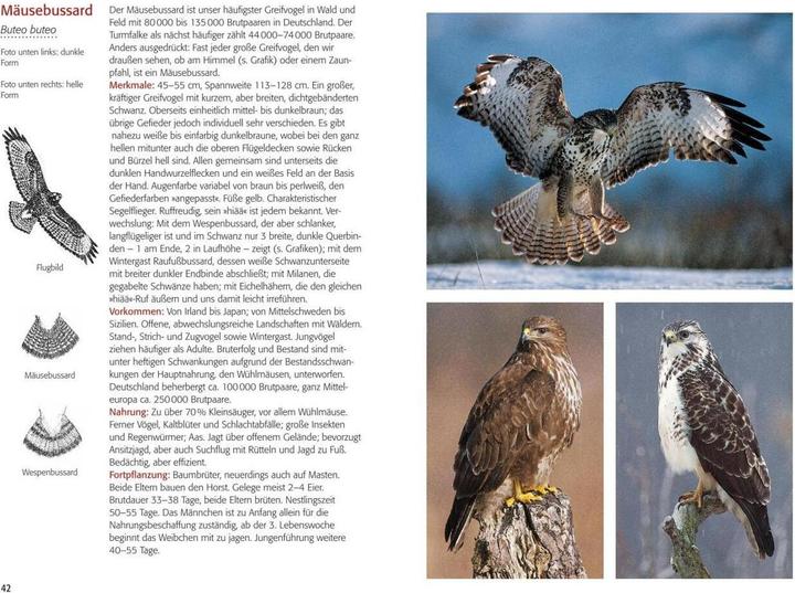 Image du produit Greifvögel & Eulen (Allemand, Walther Thiede, 2019)