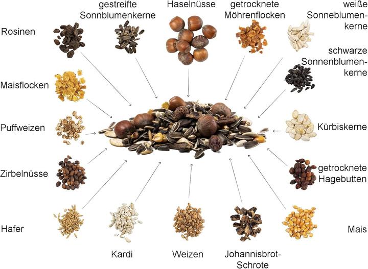 Produktbild Canifee Eichhörnchenfutter mit Haselnüssen (1 Stk., 2.20 kg)