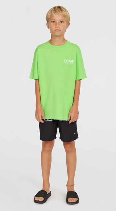 Actual product image O'Neill Cali Stripe 14" Swimshorts (116)