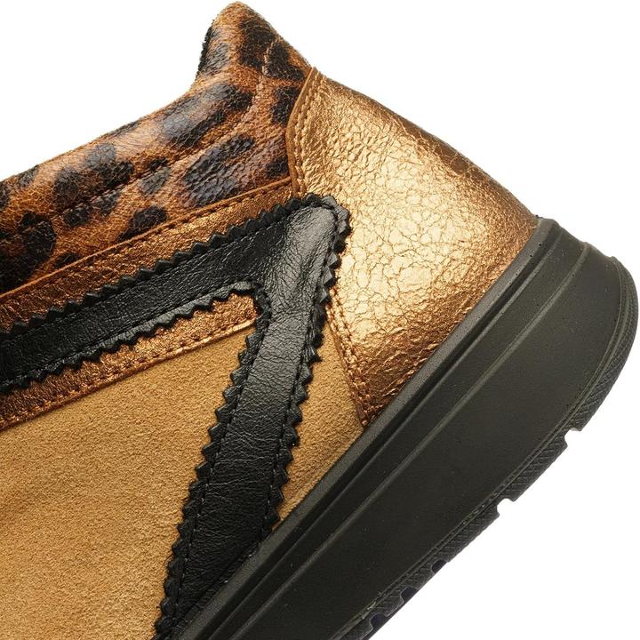 Image du produit Ara ROM 2.0 (36.5)