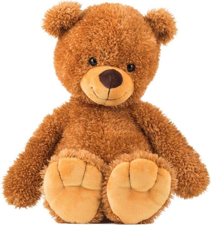Produktbild Schaffer Teddy Tom (38 cm)