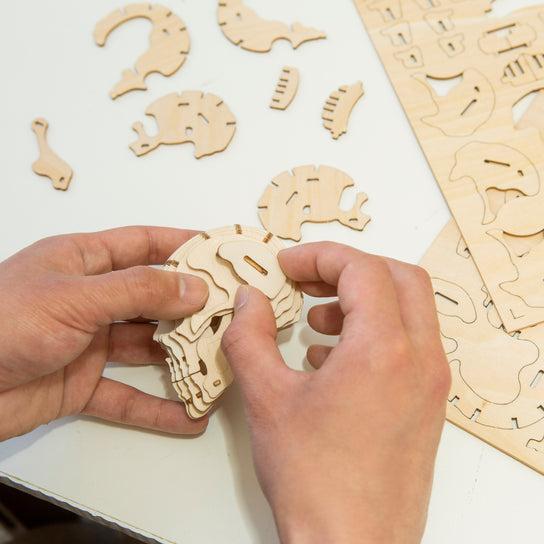 Produktbild Kikkerland Skull 3D Puzzle (1 Teile)