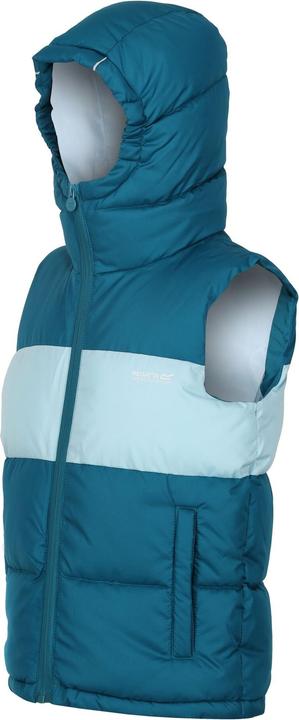 Produktbild Regatta Lofthouse Weste (104)