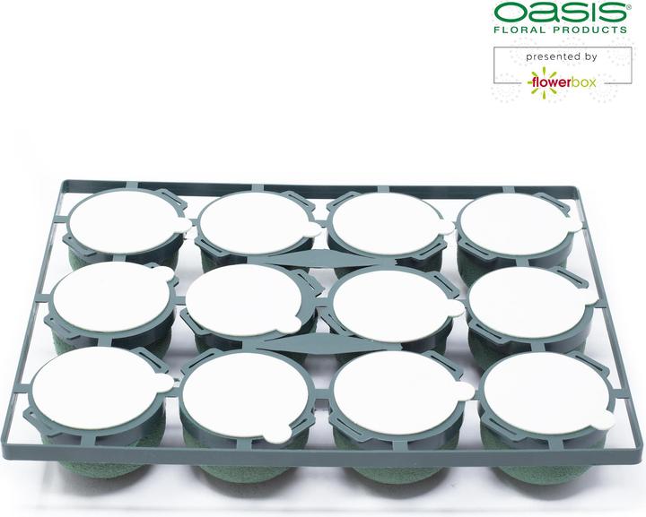 Immagine prodotto Oasis Mini Deco IDEAL