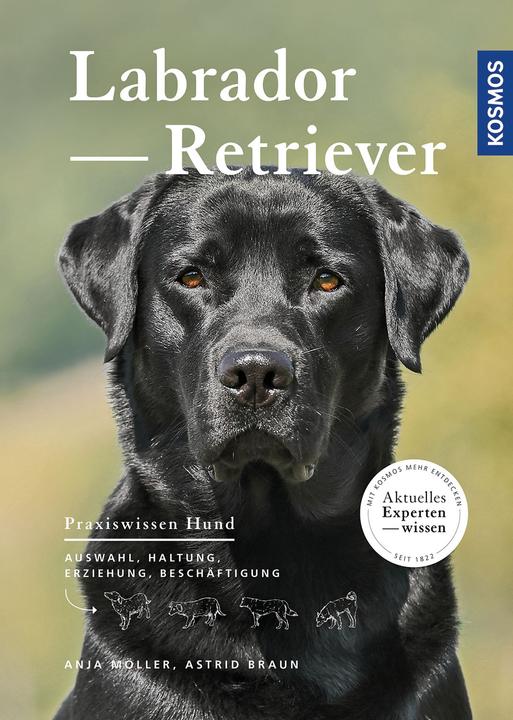 Produktbild Kosmos Labrador Retriever (Deutsch, Anja Möller, 2016)