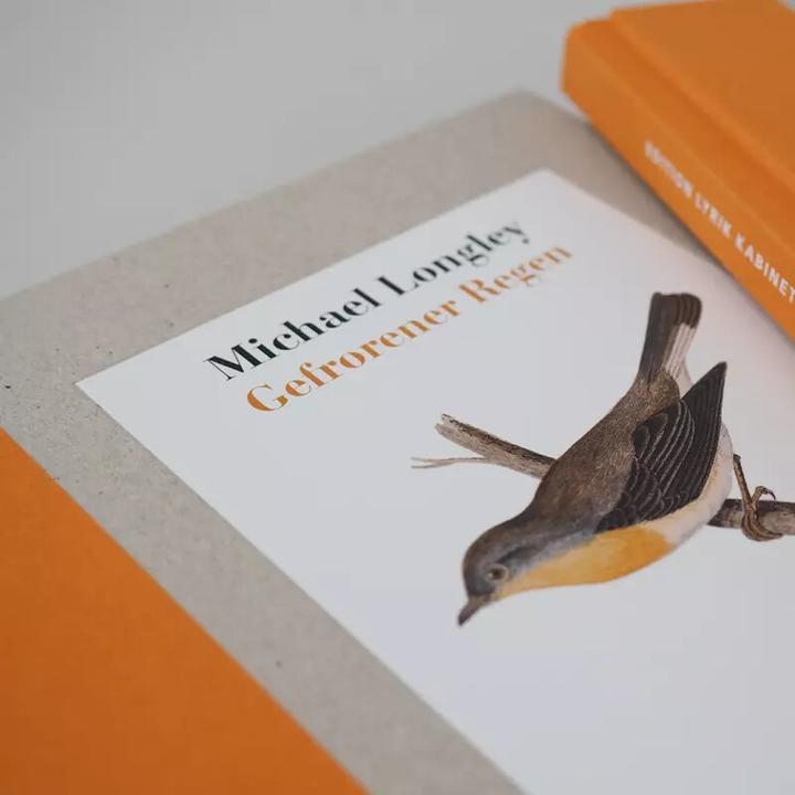 Produktbild Gefrorener Regen (Deutsch, Michael Krüger Longley, 2017)