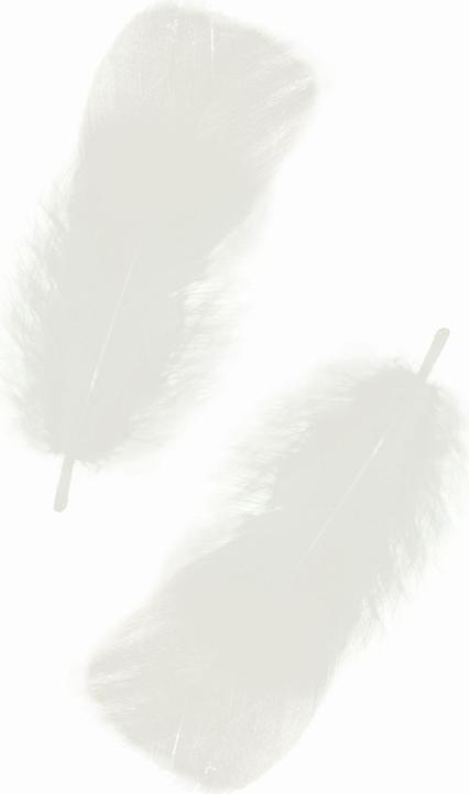 Image du produit Ursus Ressorts