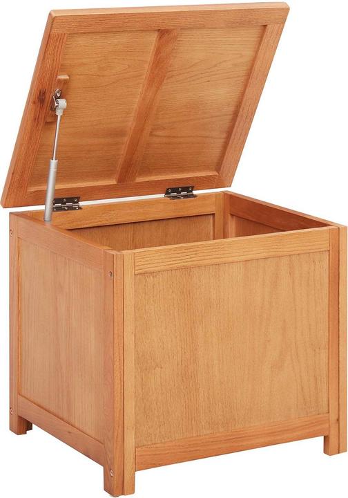 Immagine prodotto vidaXL Aufbewahrungstruhe (45 cm)