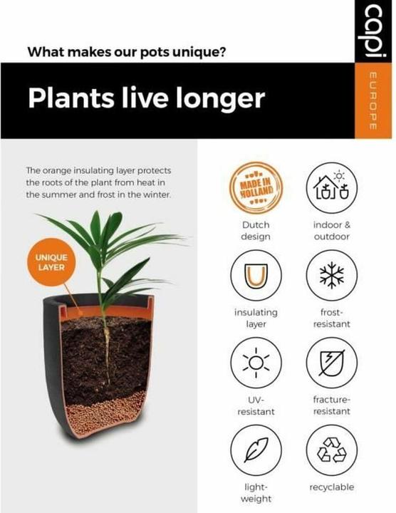 Produktbild Capi Blumentopf (54 x 54 x 52 cm)