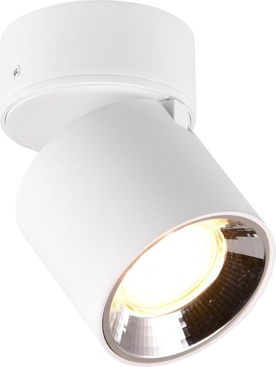 Image du produit Trio Luminaires 651000131 Spot encastré/en saillie GUAYANA (GU10)