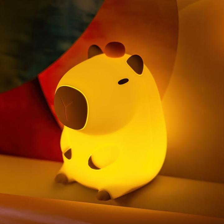 Actual product image Forever Light LED night lamp
