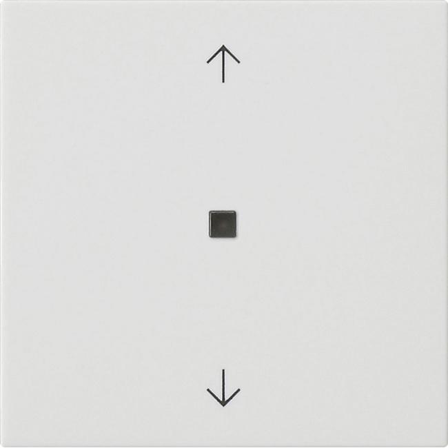 Gira Wippe 1f Pfeile Kontrollf. System 55 538827, Taster + Schalter, Weiss
