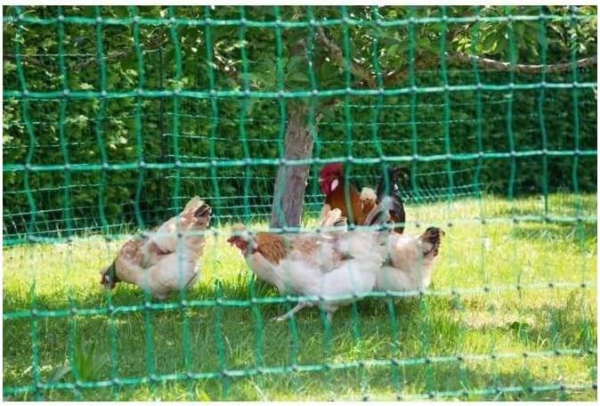 Actual product image Kerbl PoultryNet