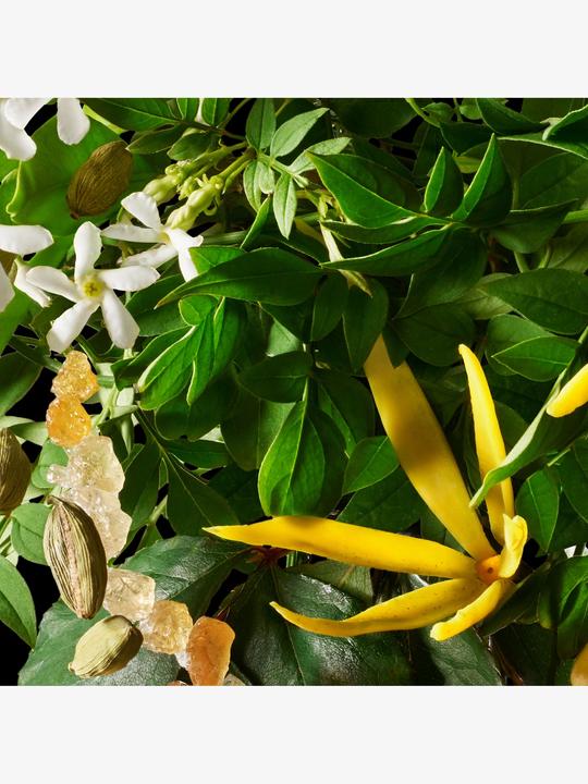 Image du produit Molton Brown Ylang-Ylang relaxant (Lait pour le corps, 300 ml)