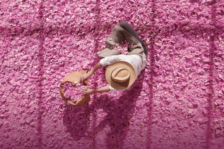 Produktbild Dior Miss (Körpercreme, 200 ml)