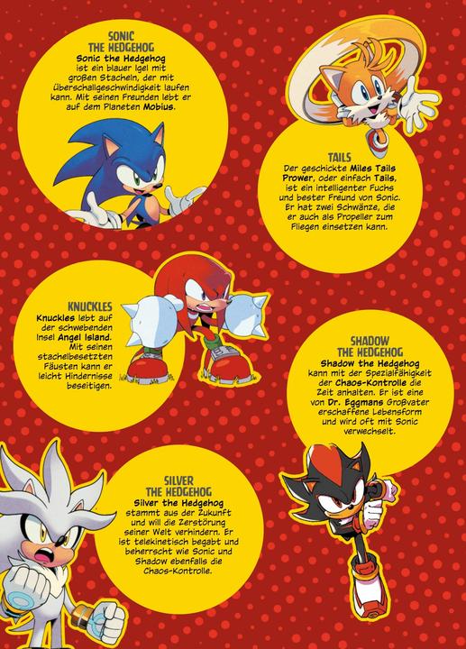 Image du produit Panini DC x Sonic The Hedgehog (Allemand, Adam Bryce Thomas, Caroline Hidalgo, Ian Flynn, 2025)