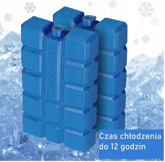 Actual product image Champ Cooling element set of 2