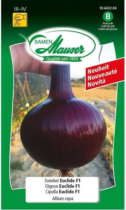 Image du produit Samen Mauser Oignon Euclide F1 (Graines de légumes)
