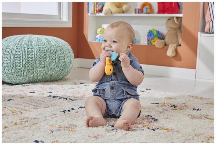 Image du produit Fisher-Price HKD69