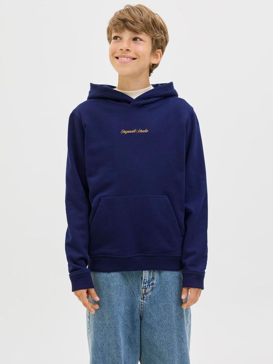 Actual product image Jack & Jones Jornorrebro Emb Sweat Hood Noos Jnr (128)