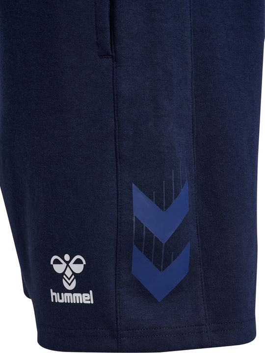 Actual product image hummel Hmltravel Shorts (L)