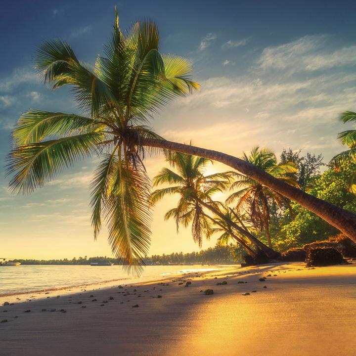 Produktbild Trauminseln/Dream Islands 2026