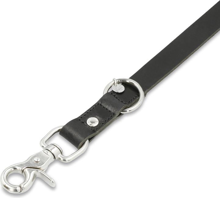 Actual product image Picard Tramp (Dog, General)