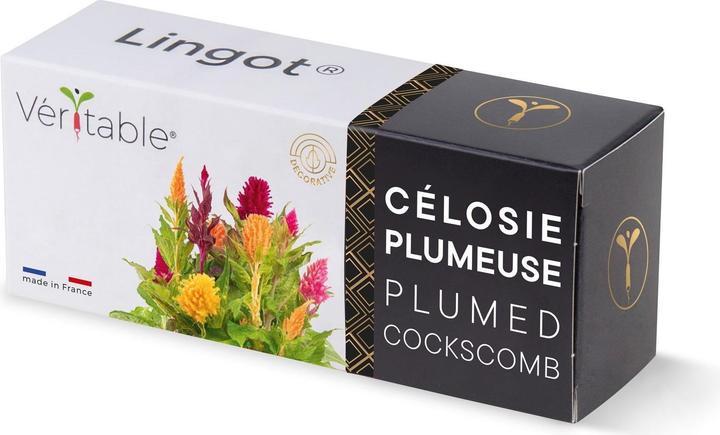 Produktbild Véritable Lingot Plumed cockscomb (Blumensamen)