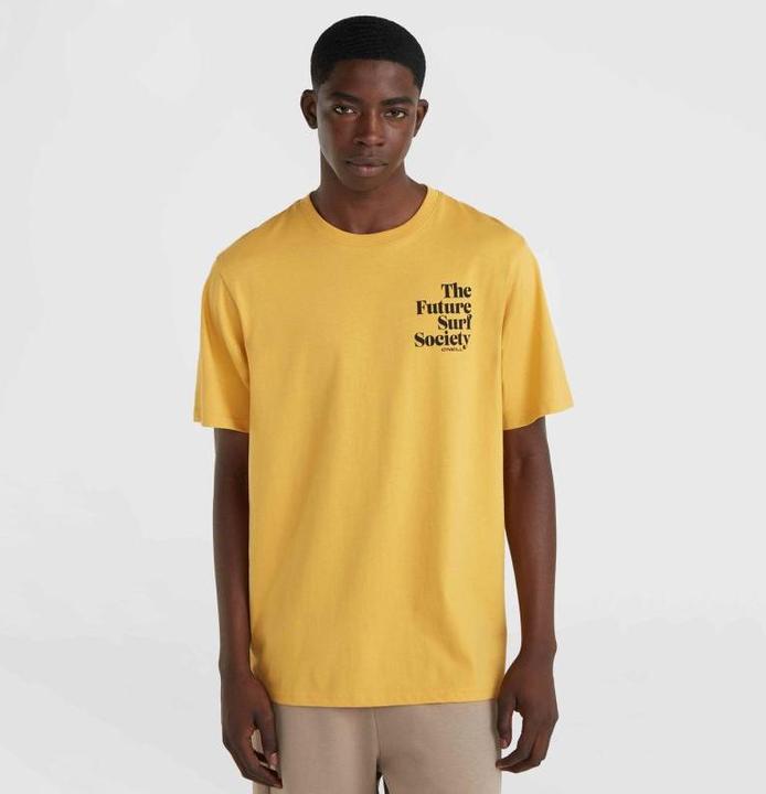 Immagine prodotto O'Neill Maglietta Della Future Surf Society (L)