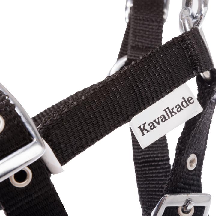 Immagine prodotto Kavalkade Cavezza per puledri e yearling