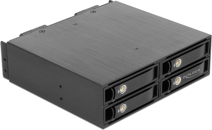 Actual product image Delock 5.25? removable frame for 4 x 2.5? U.2 NVMe SSD with lockable trays