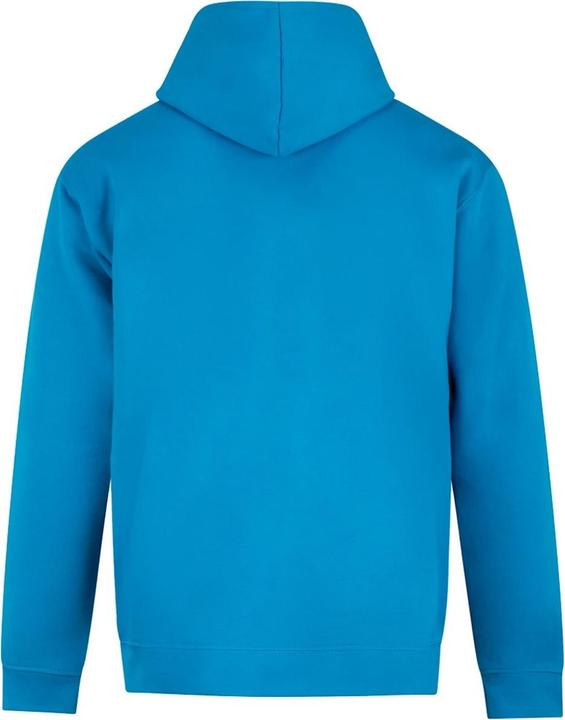 Actual product image Pro RTX Mens Hoodie (4XL)