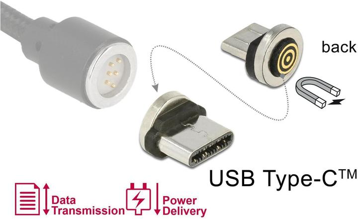 Actual product image Delock Magnetic Adapter USB Type-C (USB 2.0)