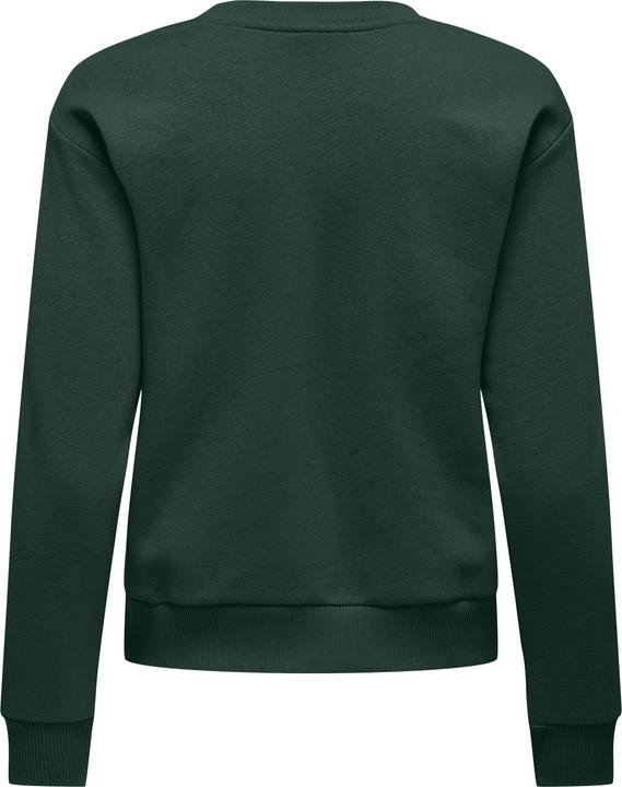 Produktbild JdY JDYPARIS Sweatshirt Sweatshirt (M)