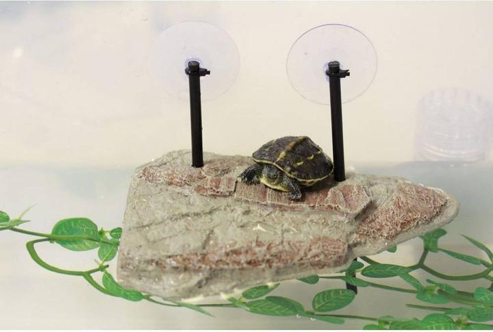 Actual product image Reptiles-Planet Turtle Island