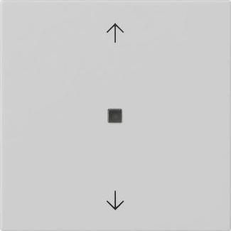 Grey matt (lacquered)