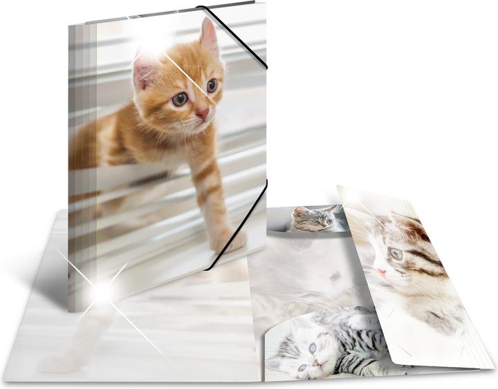 Immagine prodotto HERMA Cartella a motivi A4 (A4, 1 x)