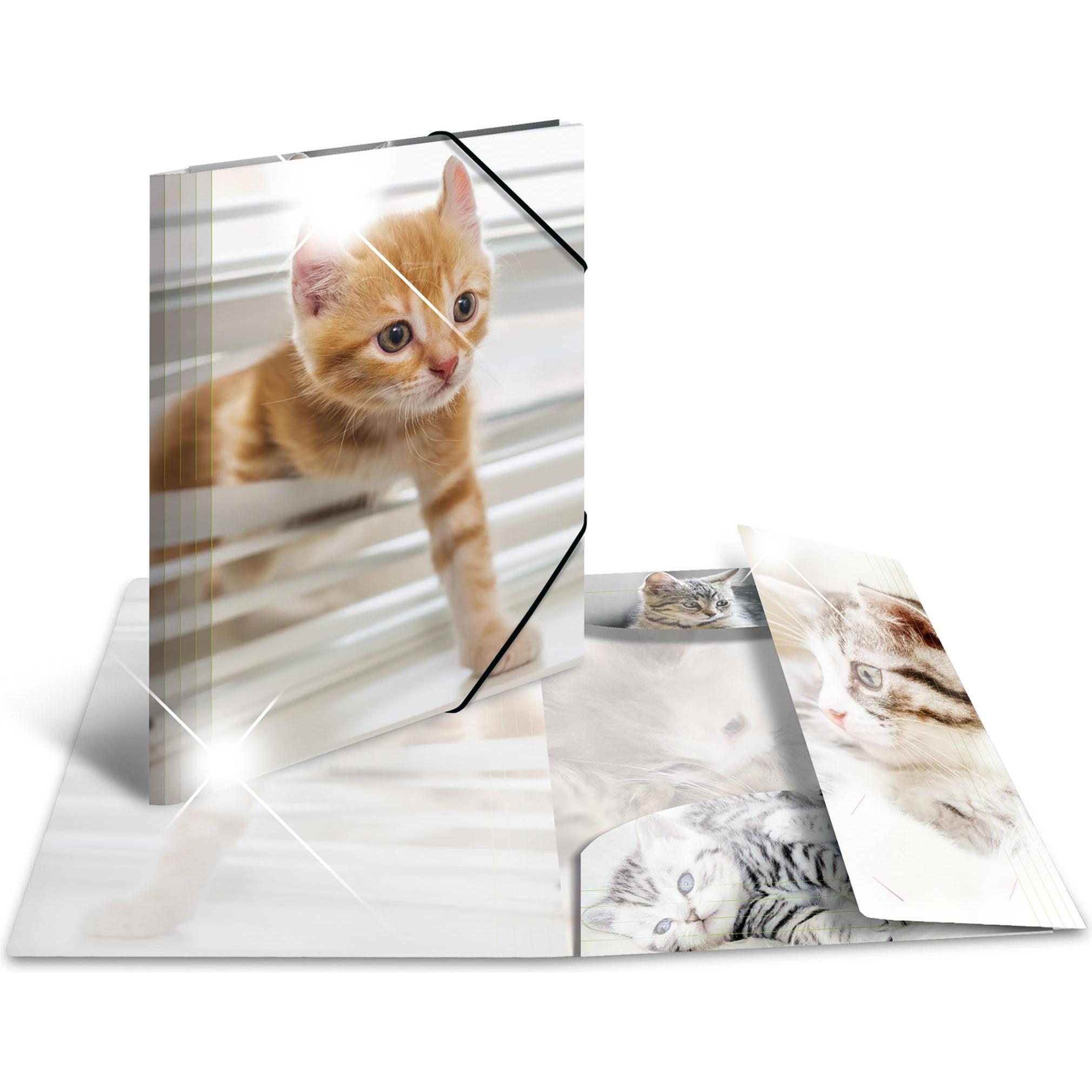 Thumbnail - Herma, Mappe, Eckspannermappe "Katzen", PP Glossy, DIN A4 Masse: (B)244 x (T)4 x (H)320 mm, mit 3 Innenklappen (A4, 1 x)