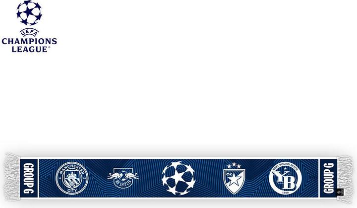 Produktbild BSC Young Boys YB UCL Gruppenschal