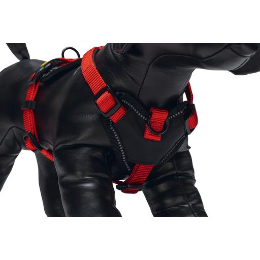 Comparer les prix de Beeztees Premium Y Geschirr Parinca (Chien, Promenade), Collier + laisse