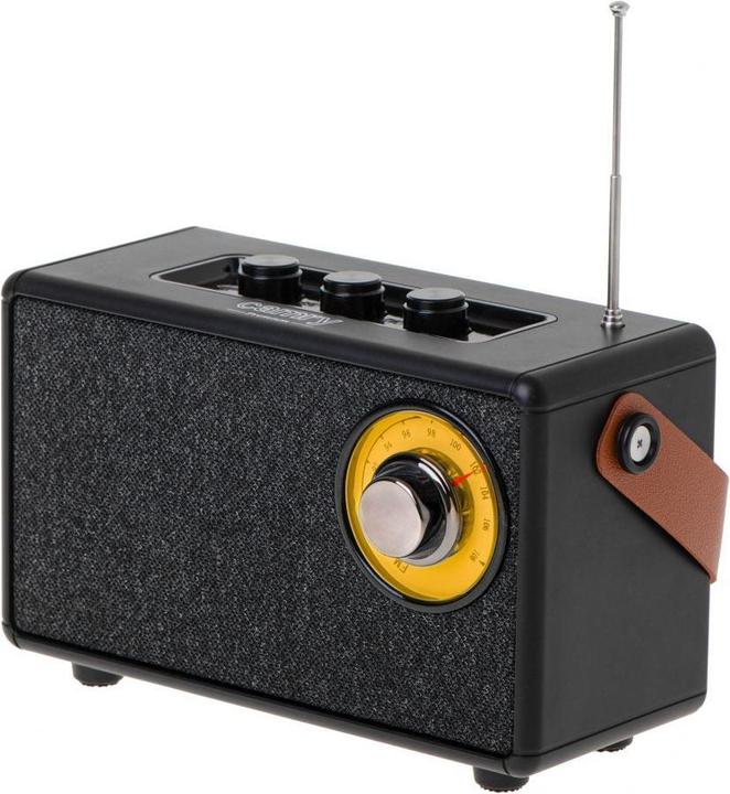 Image du produit Camry Haut-parleur avec radio | CR 1902 B | 5 W | Bluetooth | Noir | Connexion sans fil