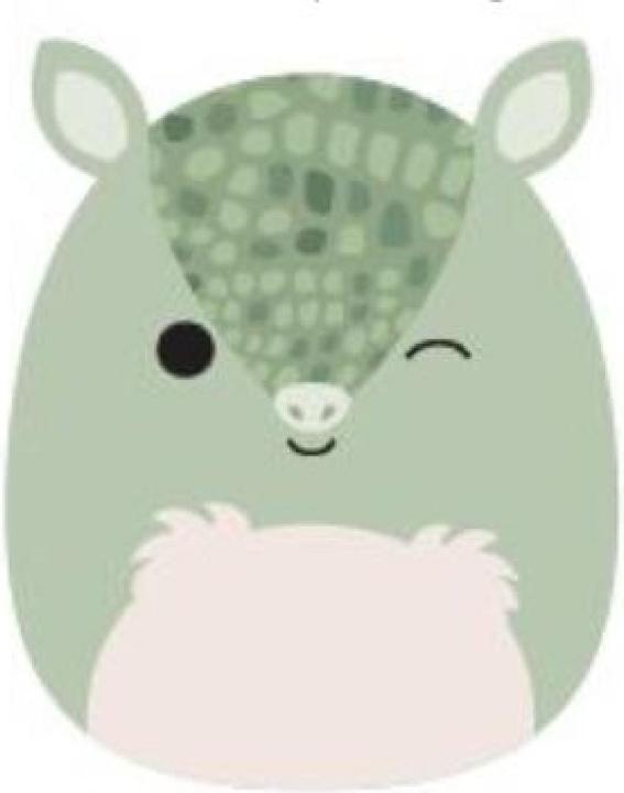 Actual product image Squishmallows Armadillo (40 cm)